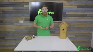 How to Set Up Motion Detection | WiFi Bird Box Camera