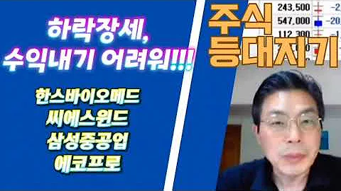 약세장, 주목받는 종목들!!! 한스바이오메드 씨에스윈드 삼성중공업 에코프로