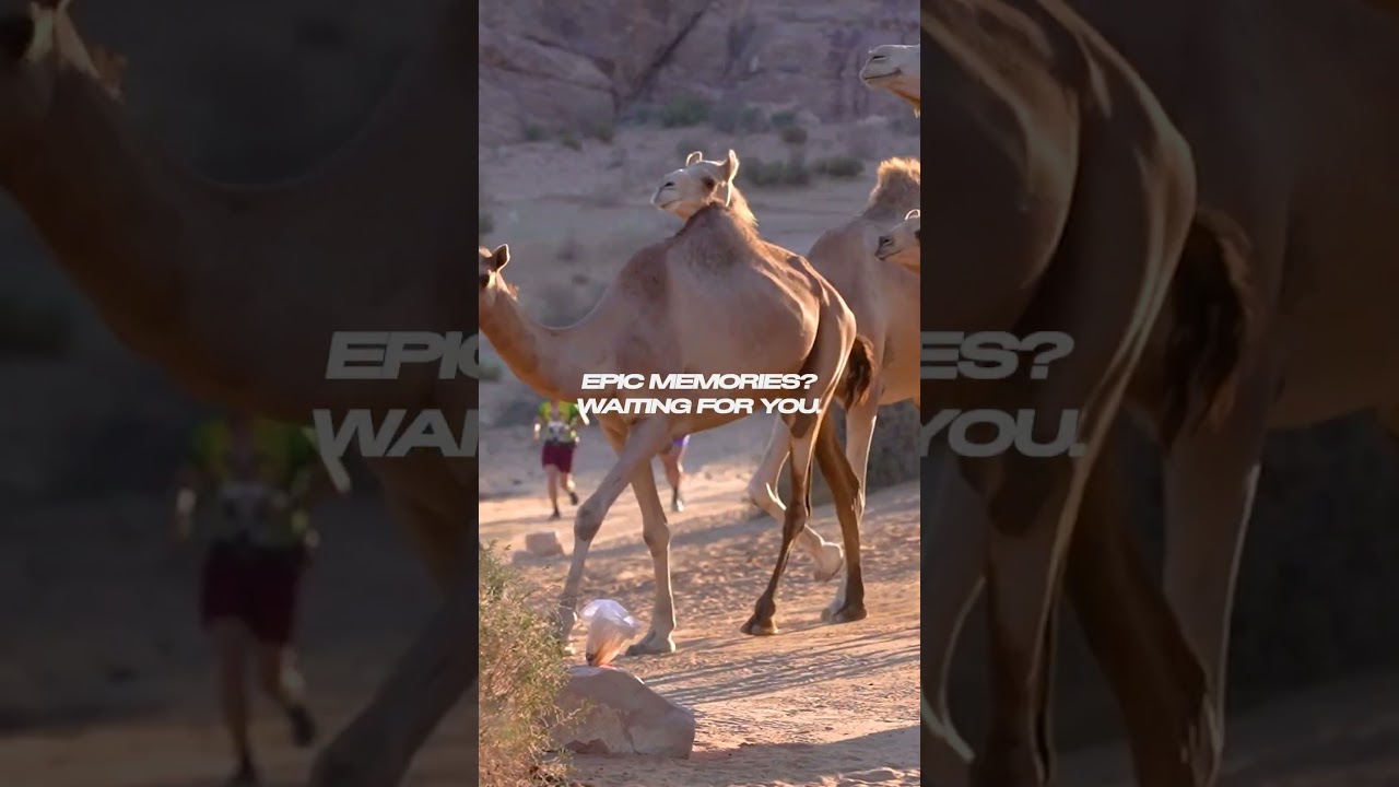 🏃‍♀️ Run Petra 2026 – Marathon & 25K Registration Open!