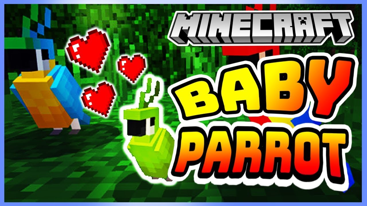 Adorable Baby Parrots Addon | Minecraft Short Video - YouTube