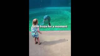 What Do You Think This Dolphins Tryna Tell Her?