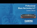 Губна гармошка Cascha Professional Blues Harmonica in F Diatonic HH 2221