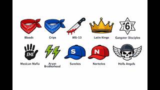 Every Major Gang in The United States Explained