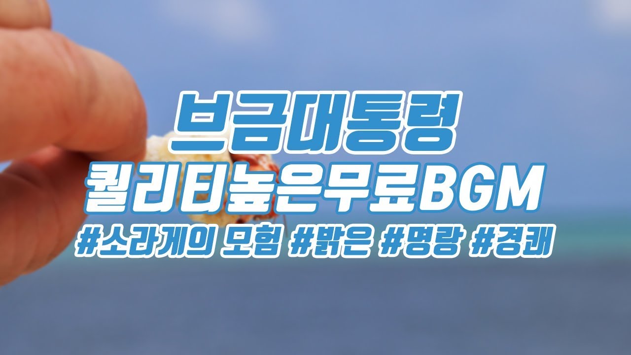 브금대통령](신나는/밝은/Youth) 청춘 로맨스 / A Romance of Youth ...