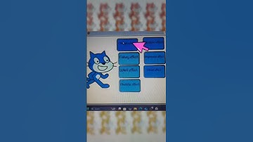 Cat Transformation using graphic effects in scratch. #short #scratch #enjoywithwareshaenglish