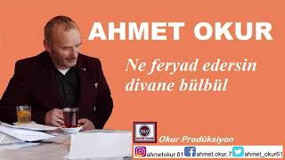 Ahmet Okur - Ne Feryad Edersin Divane Bülbül Resimi