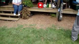 Video thumbnail of "Pigtown Fling 2009 - Get Along Home Little Cindy"