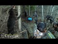 Best Bear Hunt with a Bow - 518Lb Canadian Giant- Crosstrail's Adventures