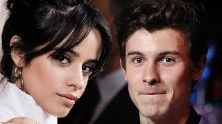 Halsey Blasted After Defending Shawn Mendes & Camila Cabello Señorita