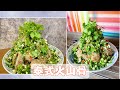 [電子壓力煲食譜] 在家做泰式火山骨 | Instant pot Recipe: How to make Thai Pork Bones Soup [Leng Saeb] 簡單易做泰國街頭美食