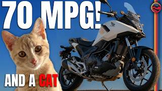 This Motorcycle Gets 70 Mpg (and I Rescued A Cat)