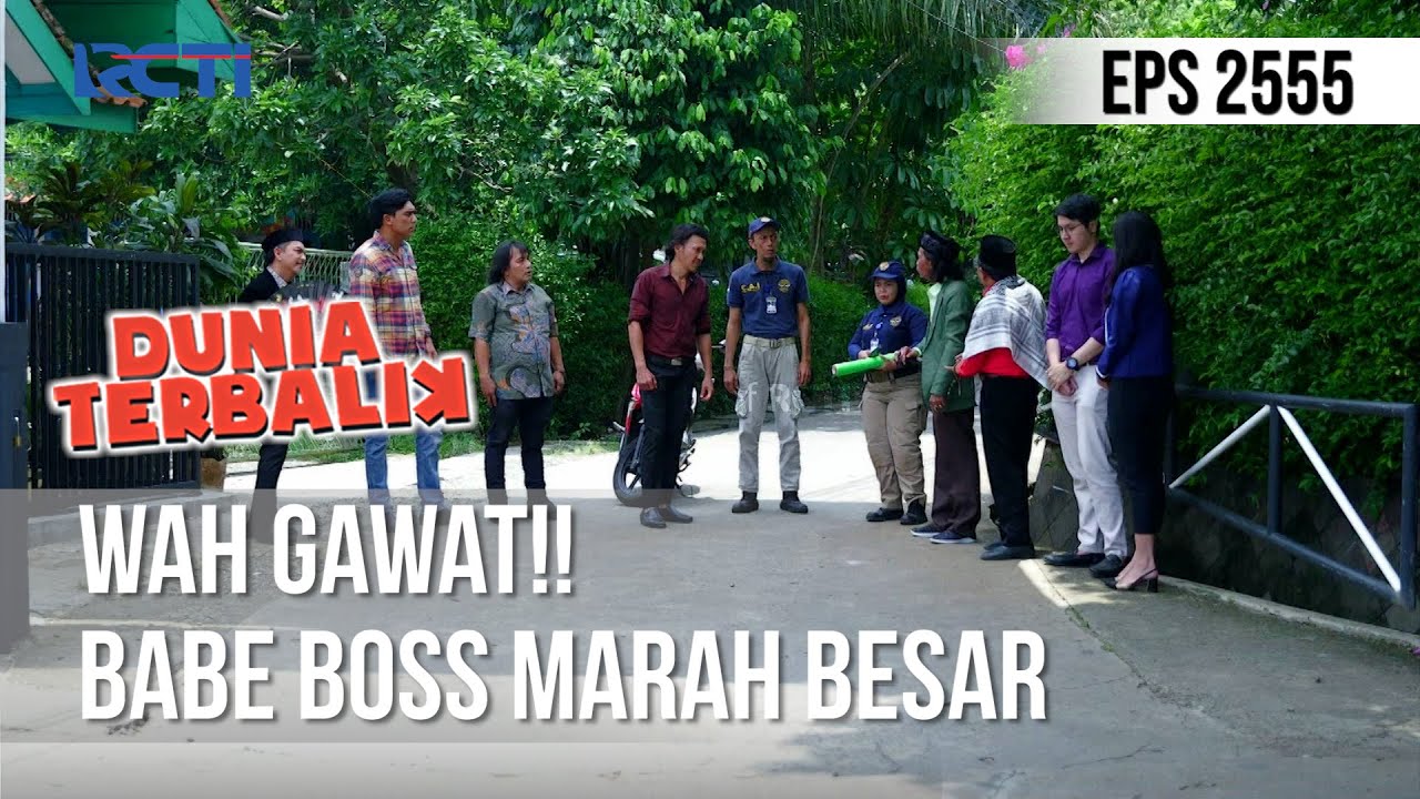 Wah Gawat!! Babe Boss Marah Besar - DUNIA TERBALIK