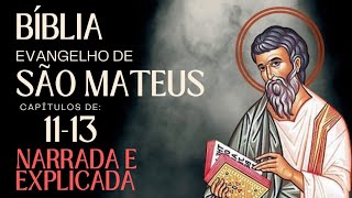 Evangelho de São Mateus Narrado e Explicado (Capítulos de 11-13) - Bíblia Ave Maria