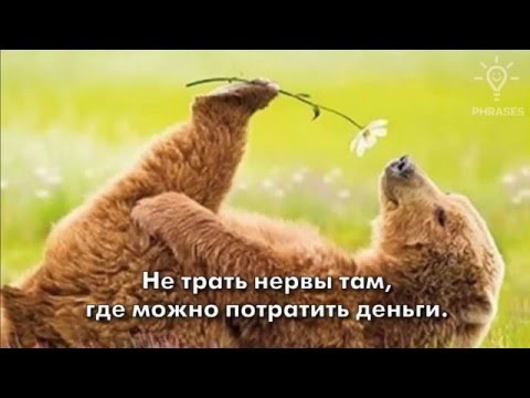 15 прикольных цитат о жизни женщины