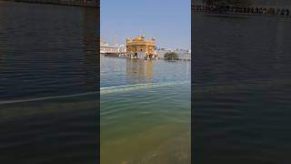 Golden temple amritsar #waheguruji #amritsar #punjab #diljitdosanjh #cutebaby #foryourpage