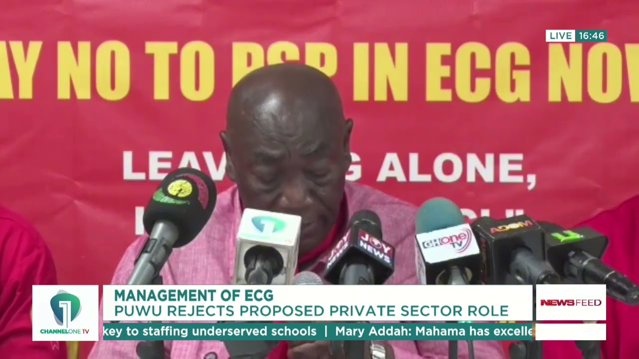 ECG Management: PUWU Rejects Proposed Private Sector Role | News Feed