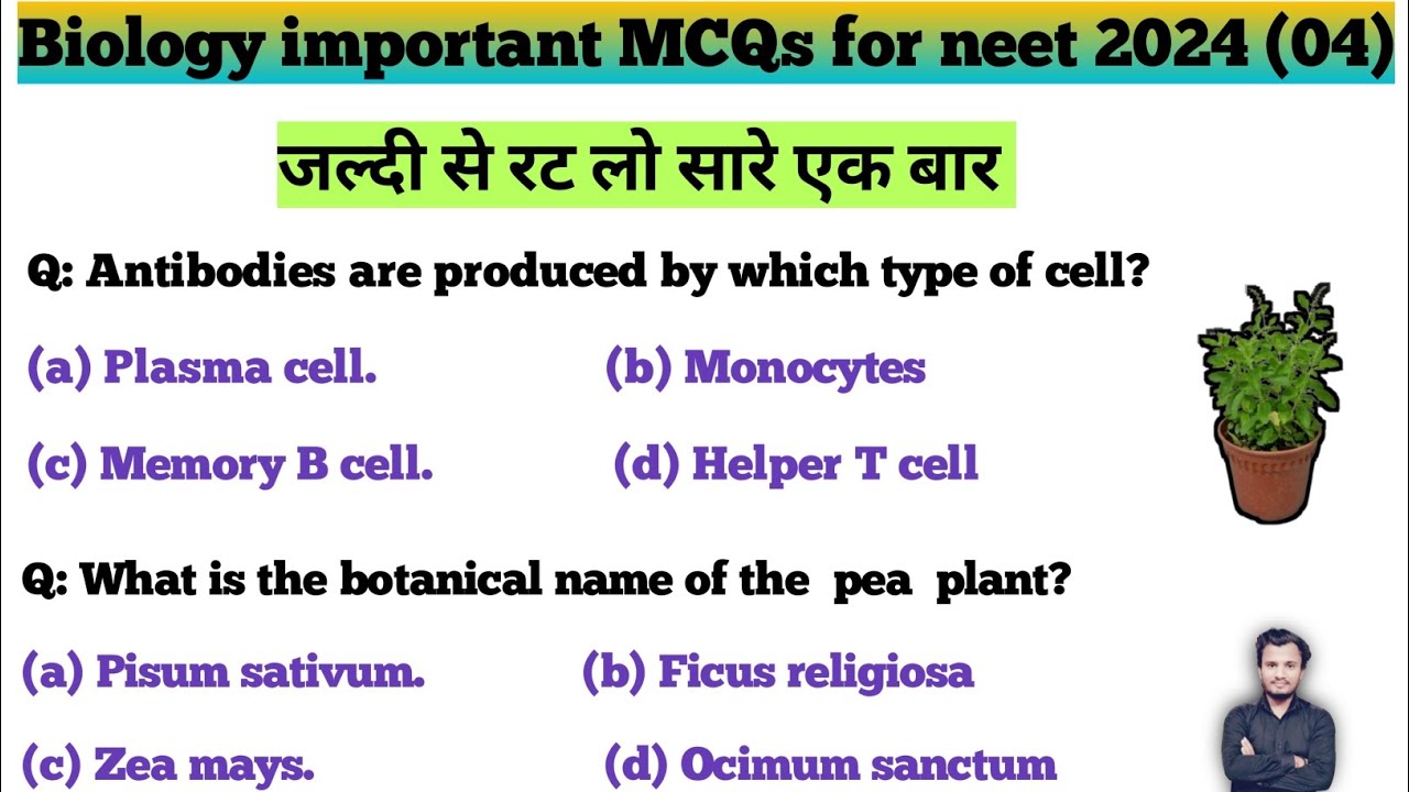 Mcqs On Structure Of Rna For Neet 2024 – FDXXZ