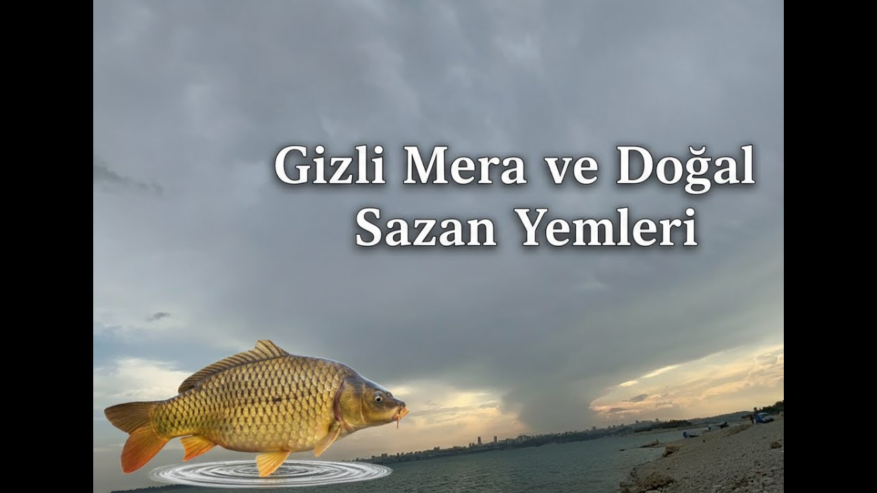 Kimsenin Bilmediği Mera! Doğal Yemlerle Büyük Keşif 🎣 BÖLÜM: 5  #keşfet #travel #balıkavı #fishing