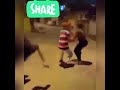 دي اللي قادره دي بت فاجره        نجومي