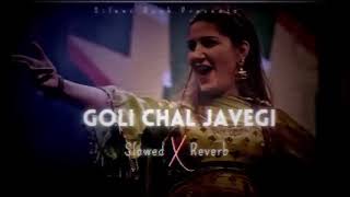 Goli Chal javegi Slowed + Reverb Sapna Choudhary Silent Dusk Latest Haryanvi Song 2026 Mix Dj Vivek