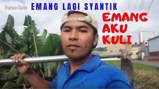 Download Lagu Cah Kerjo Versi Parodi MP3 Cah Kerjo Versi Parodi