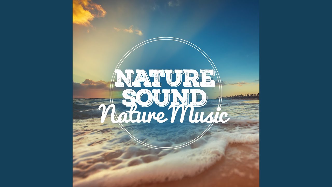 Incoming Country Birds