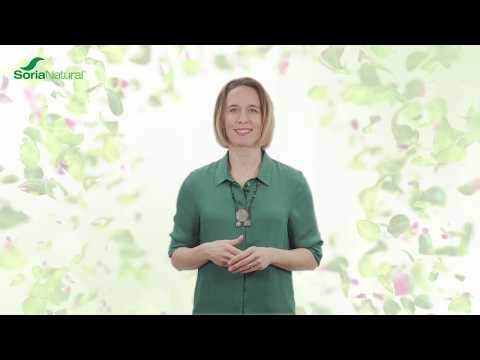 Video: Japonska Metoda Za Odstranjevanje želodca In Poravnavanje Hrbta - Minus 4 Cm V 5 Minutah Na Dan - Alternativni Pogled