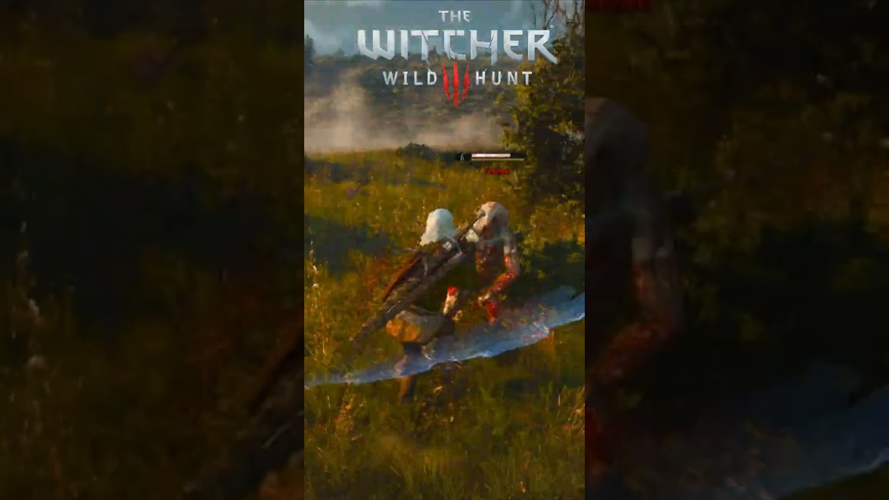 ГНИЛЕЦ на РЕАКТИВНОЙ тяге! Я такого в The Witcher 3 не видел !
