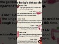 YOUR BODIES DETOX CLOCK