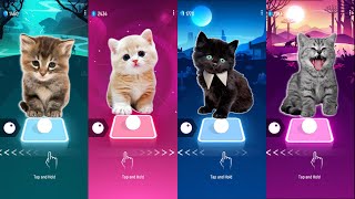 Cute Cats Wednesday Lady Gaga Bloody Mary Vs Blackpink Lisa Money Vs Jisoo Flower And Kill This Love