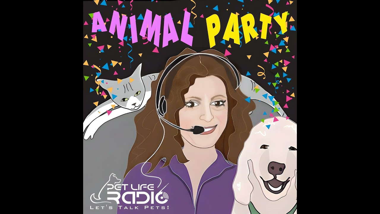 Animal Party Episode 150 How to Groom Your Dog Calmly