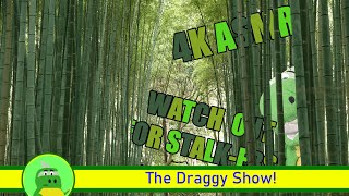 Focus Ambience ASMR | Japanese BAMBOO | Infinite Jokes | Caught In 4k