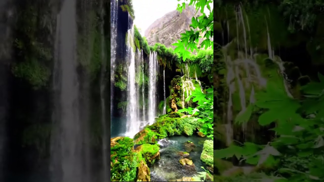 Most people…. 📈 