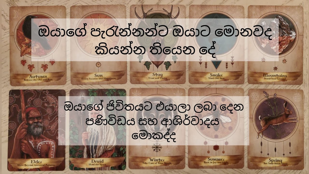 ❤️ඔයාගේ මුතුන්මිත්තෝ ඔයාට කියන දේ😱විශ්ව මාතාවගේ පණිවිඩයයි මේ❤️