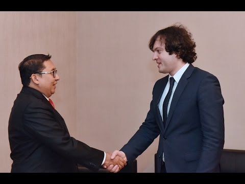 ირაკლი კობახიძის შეხვედრა ინდონეზიის რესპუბლიკის წარმომადგენელთა პალატის ვიცესპიკერ ფადლი ზონთან