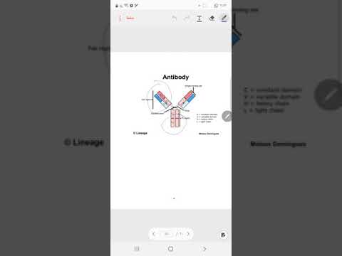 Videó: Normál Emberi Immunglobulin - Használati Utasítás, ár, Vélemények