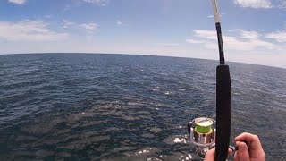 Squid & King George Whiting Boat Fishing | South Australia, Yorke Peninsula
