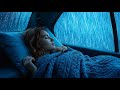 Soft Rain on Car Windows During Midnight Relaxation for Better Sleep