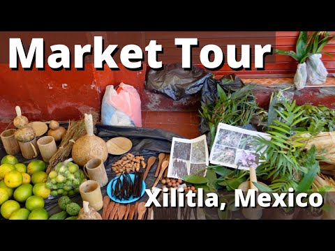 Market Tour in Xilitla, Mexico. Travel with Me!