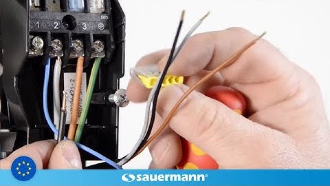 Wiring Sauermann