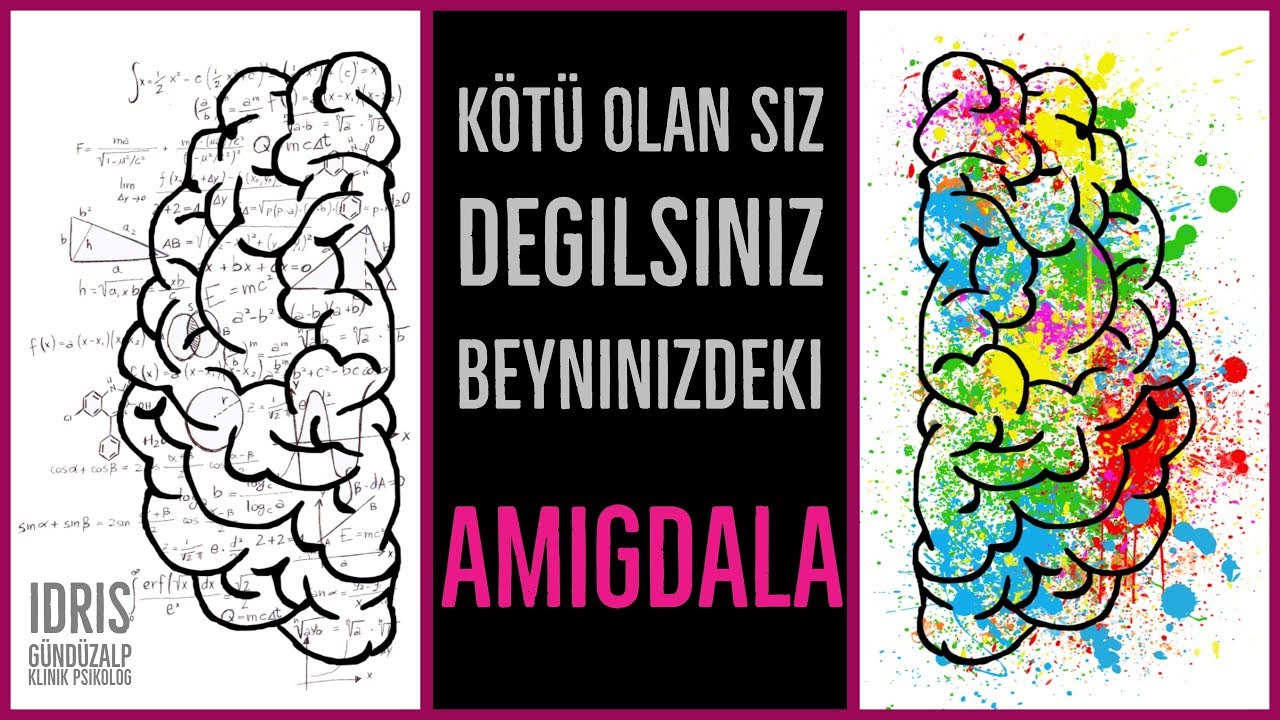 KÖTÜ OLAN SİZ DEĞİLSİNİZ, AMİGDALA