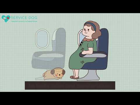 Video: Portare il tuo animale di servizio attraverso la sicurezza aeroportuale
