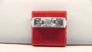Wheelock MT-24MCW Fire Alarm Test