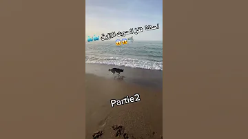 لحظة قفزة الحوت الازرق 