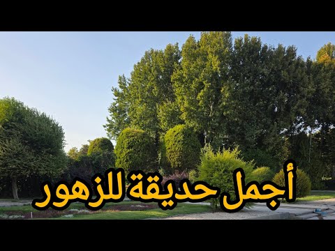 حديقة الأحلام المليئة بالزهور داخل مملكة الورود   