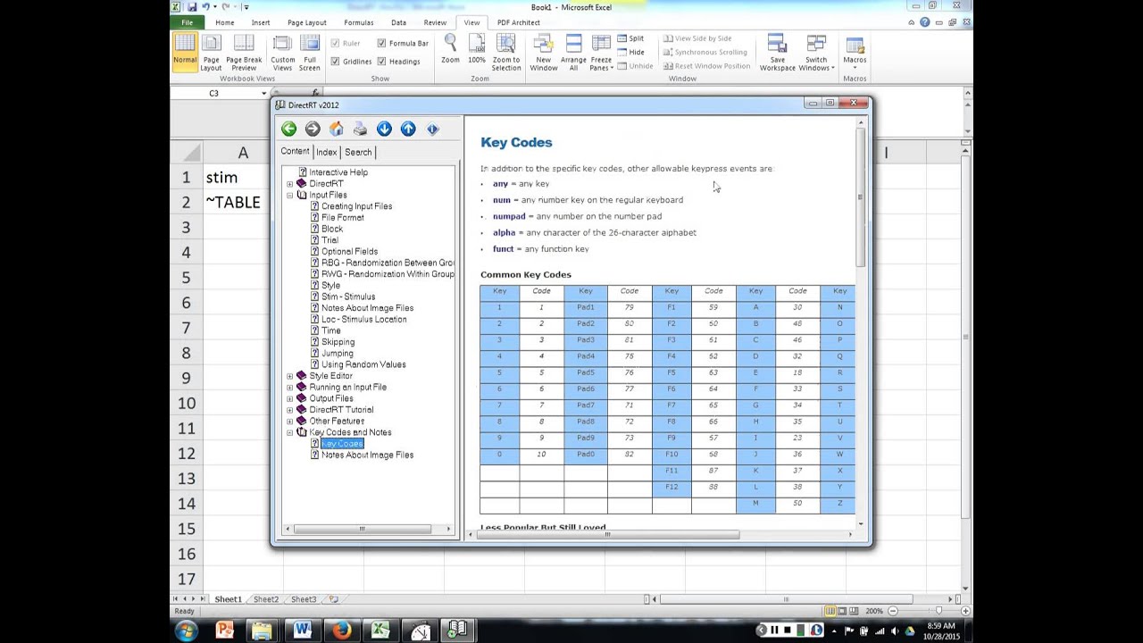 How to use DirectRT - YouTube