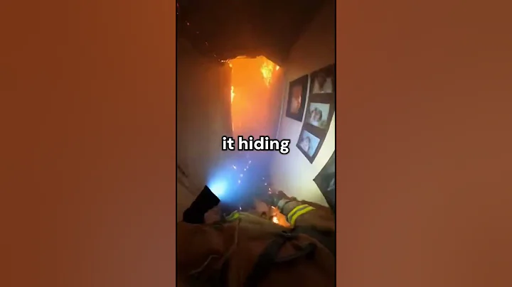 Firefighter rescues dog from burning house!!! What a Beautiful moment