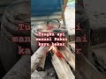 Tungku tradisional masih berlaku sampai saat ini #shortvideo #fyp #viral #viralvideo #shortsvideo