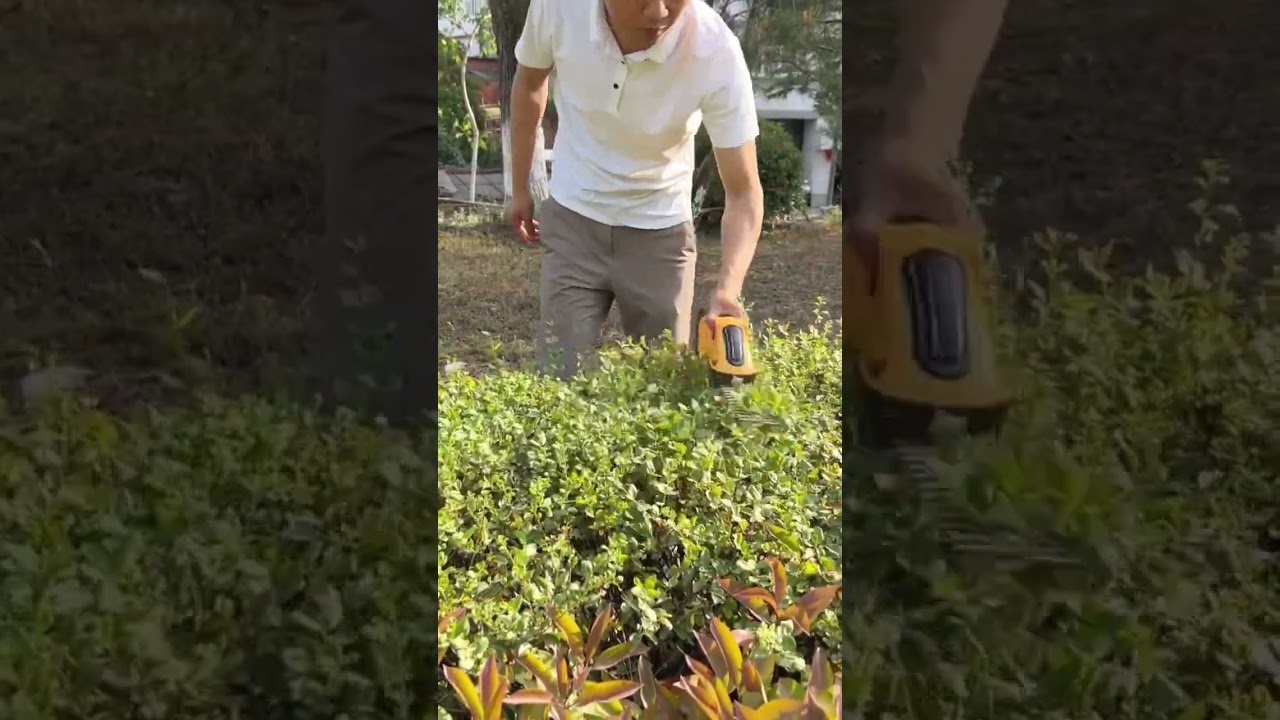 modern tools for plant care 