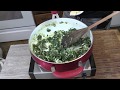 How to cook Poke Sallet- Polk Salad